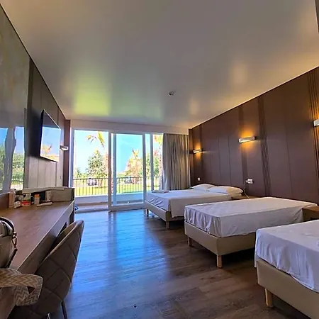 Dominicus 4*
